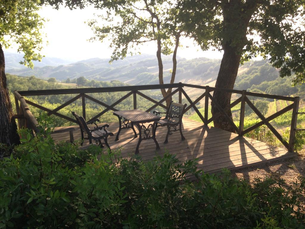 Agriturismo Erta Villa Casole dʼElsa Dış mekan fotoğraf