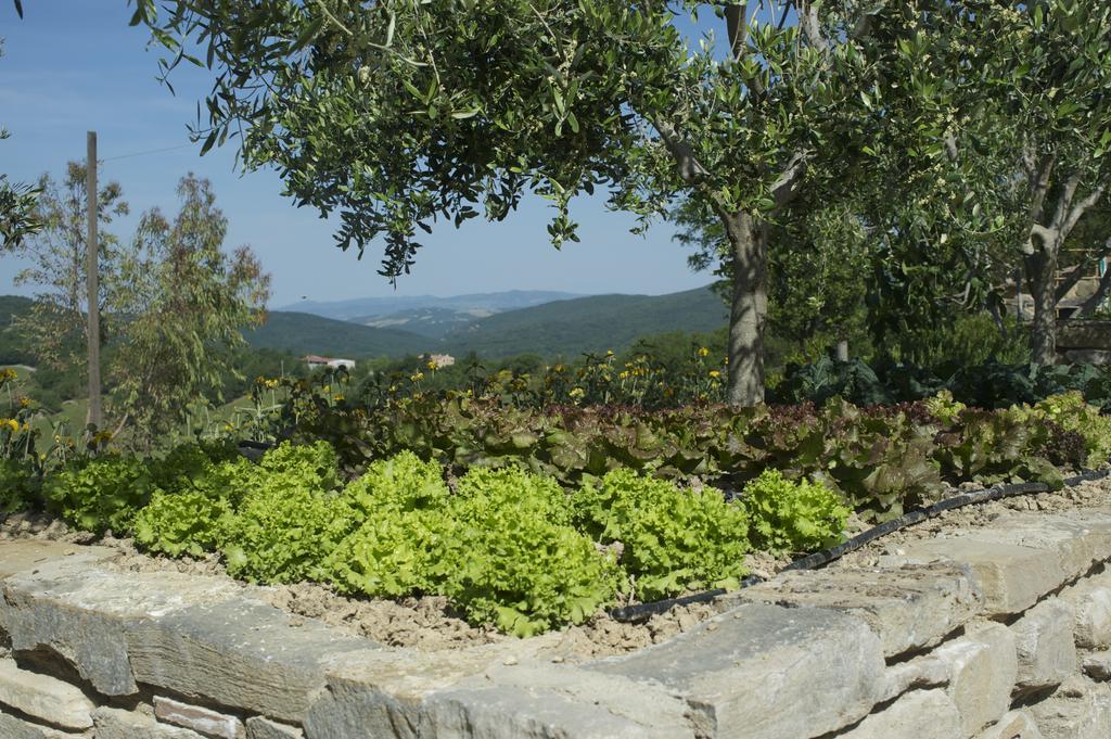 Agriturismo Erta Villa Casole dʼElsa Dış mekan fotoğraf