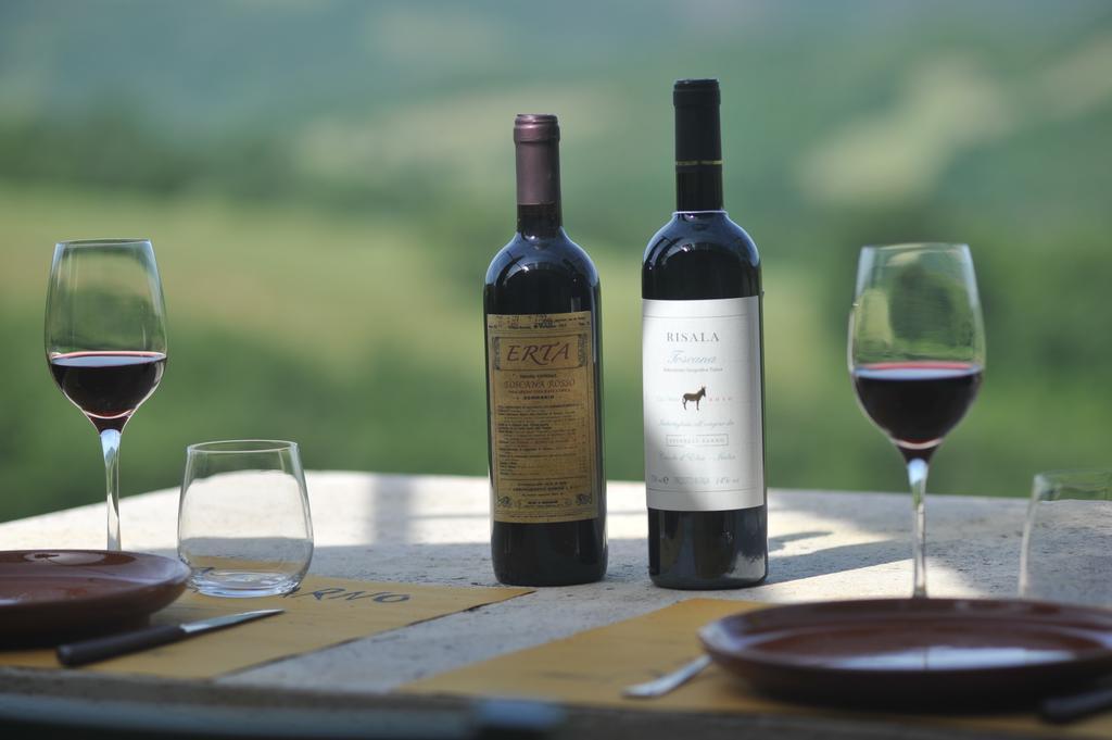 Agriturismo Erta Villa Casole dʼElsa Dış mekan fotoğraf