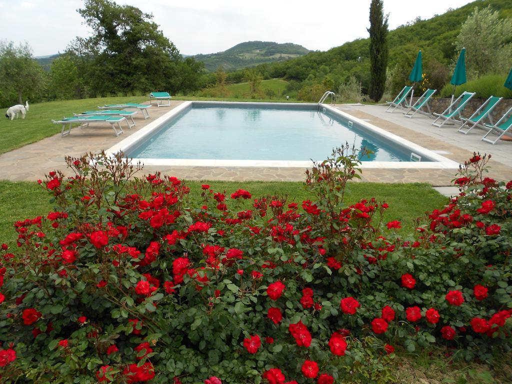 Agriturismo Erta Villa Casole dʼElsa Dış mekan fotoğraf