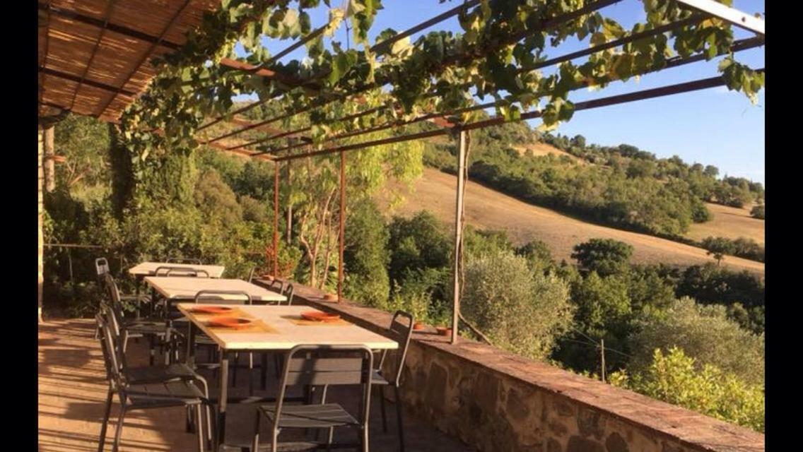 Agriturismo Erta Villa Casole dʼElsa Dış mekan fotoğraf