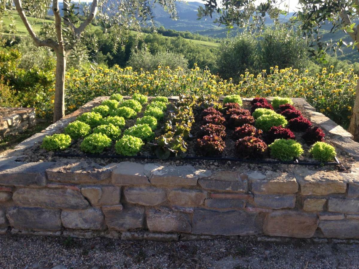 Agriturismo Erta Villa Casole dʼElsa Dış mekan fotoğraf