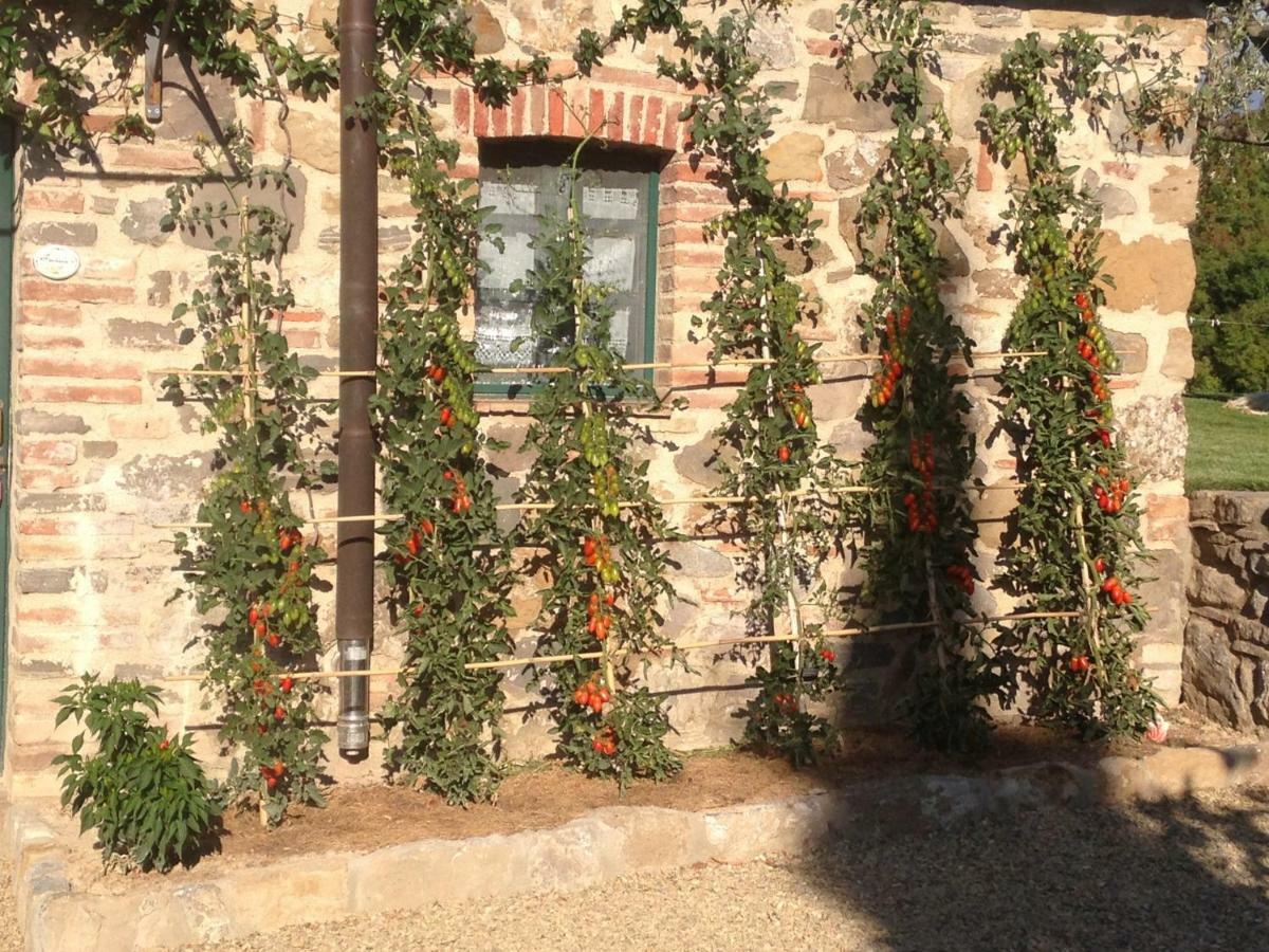 Agriturismo Erta Villa Casole dʼElsa Dış mekan fotoğraf