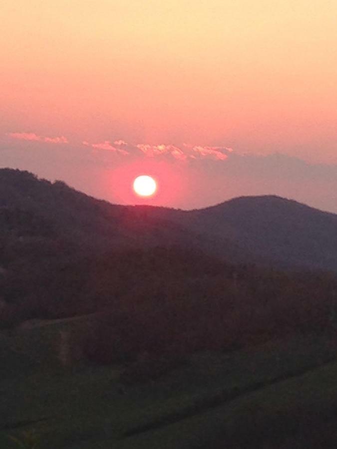 Agriturismo Erta Villa Casole dʼElsa Dış mekan fotoğraf