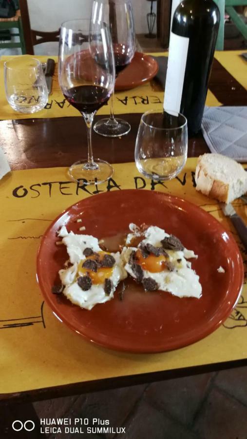 Agriturismo Erta Villa Casole dʼElsa Dış mekan fotoğraf