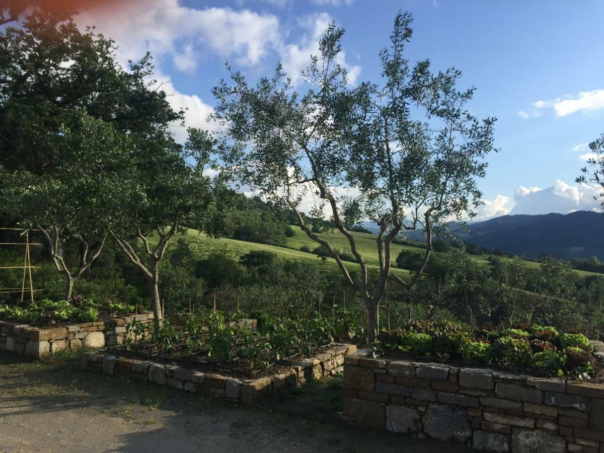 Agriturismo Erta Villa Casole dʼElsa Dış mekan fotoğraf